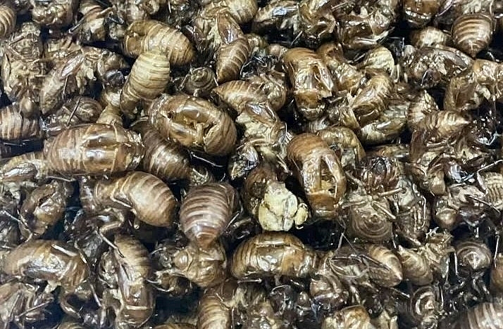 Công ty TNHH Mai Tâm Phương không ngừng nâng cao chất lượng sản phẩm, xây dựng thương hiệu ngày càng lớn mạnh