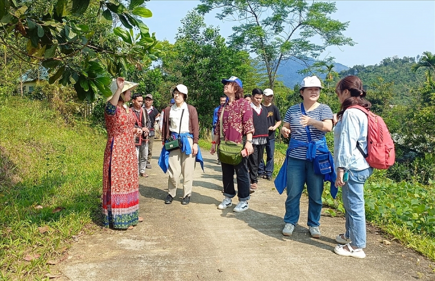 Đầu tư xanh - Làn sóng đầu tư mới của người cao tuổi