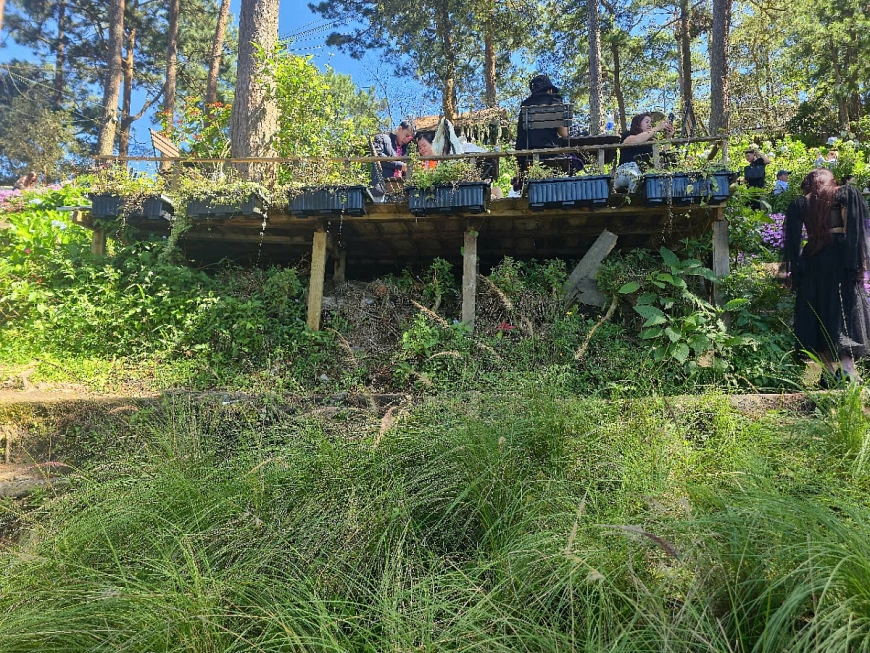 Vi phạm tại cơ sở kinh doanh Happy Hill: Ban quản lý khẳng định “đóng”, cơ sở vẫn ngang nhiên mở cửa?