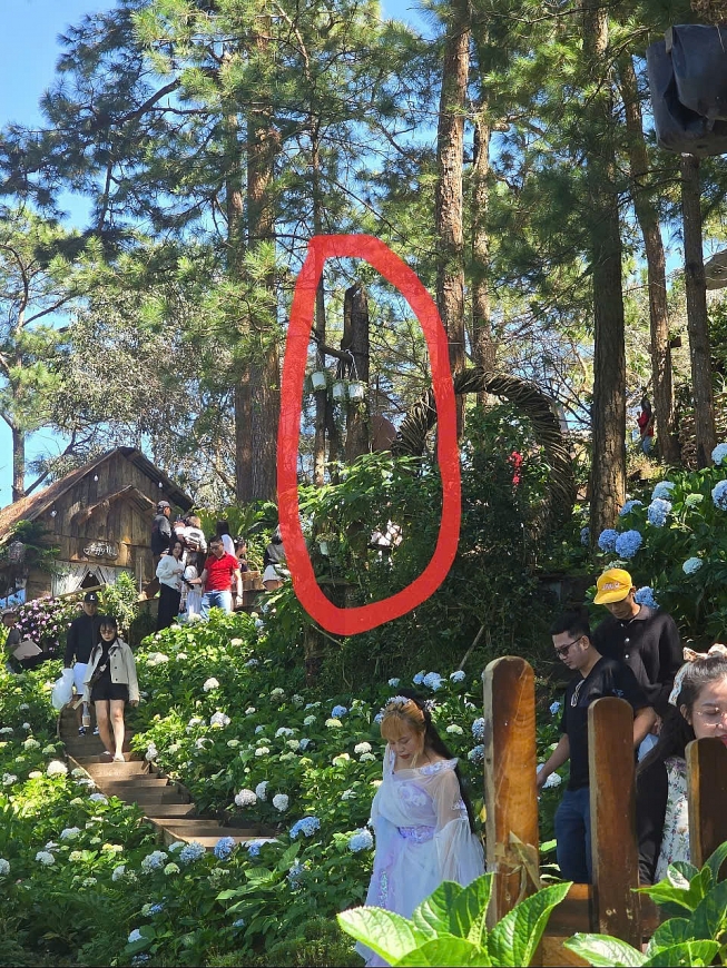 Vi phạm tại cơ sở kinh doanh Happy Hill: Ban quản lý khẳng định “đóng”, cơ sở vẫn ngang nhiên mở cửa?