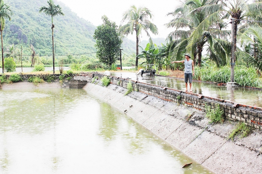 Ông Châu bên khu vực ao nuôi của gia đình.