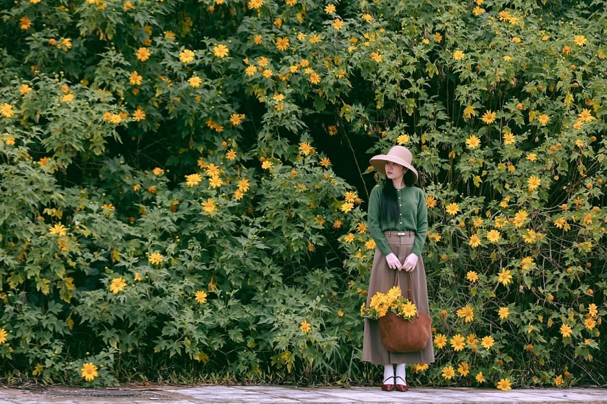 Hoa dã quỳ rực rỡ trên vùng đất thiêng