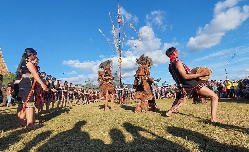 Hoa dã quỳ rực rỡ trên vùng đất thiêng