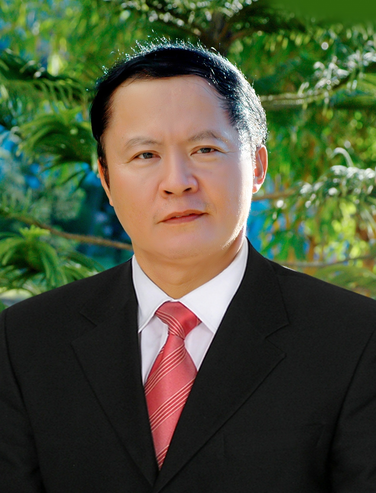 Tác giả Nguyễn xuân Tư