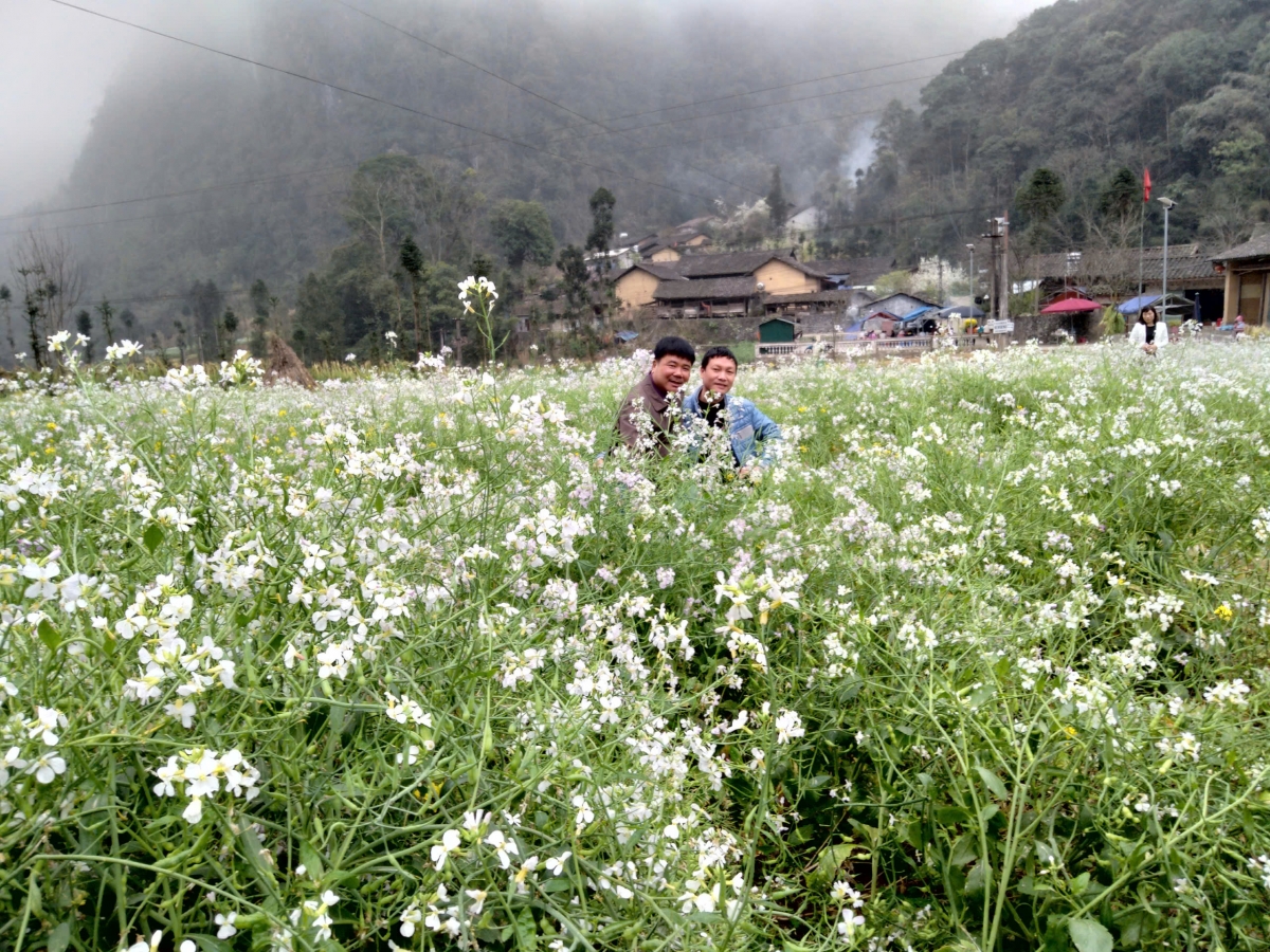 Chủ đề của Lễ hội năm 2025 là “Miền đá nở hoa”, gợi mở hành trình khám phá vẻ đẹp của mùa Tam giác mạch trong không gian văn hóa đặc trưng của vùng cao nguyên đá.