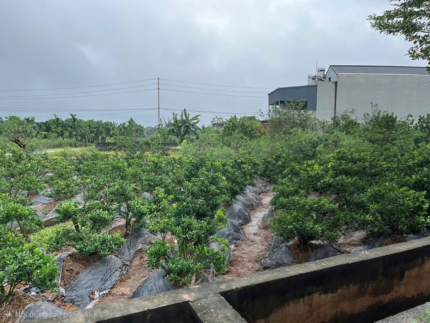 Cần xem xét lại việc cấp sổ đỏ để bảo vệ quyền lợi cho công dân