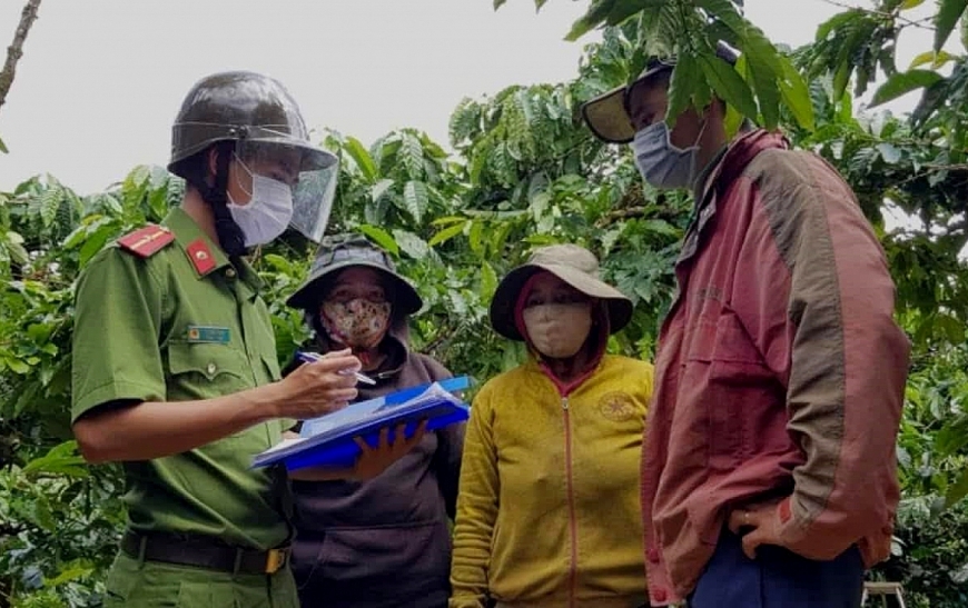 Giữ bình yên để mùa cà phê bội thu