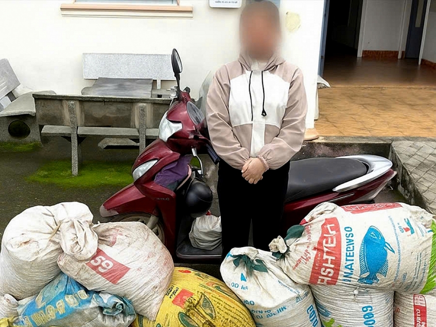 Nhiều vụ trộm cà phê bị phát hiện, bắt quả tang tại Lâm Đồng.