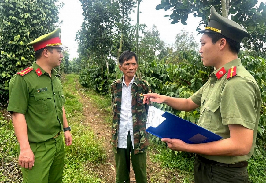 Giữ bình yên để mùa cà phê bội thu