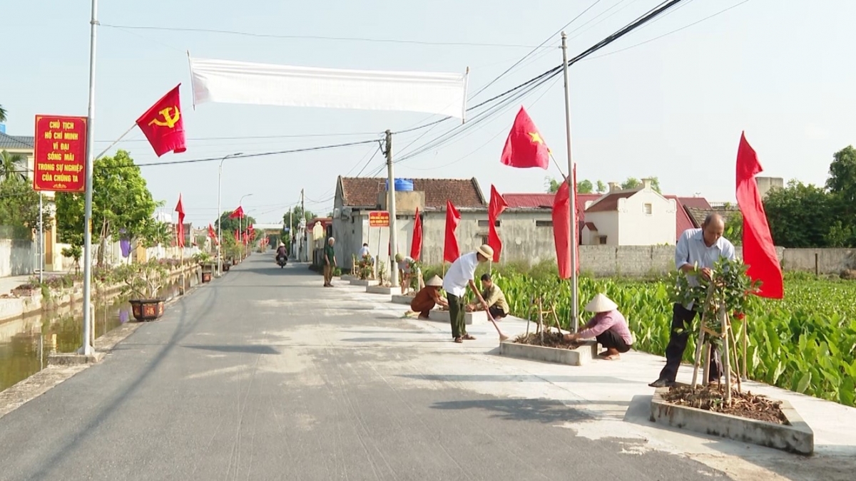 Hội viên người cao tuổi trên địa bàn tỉnh chăm sóc hàng cây xanh