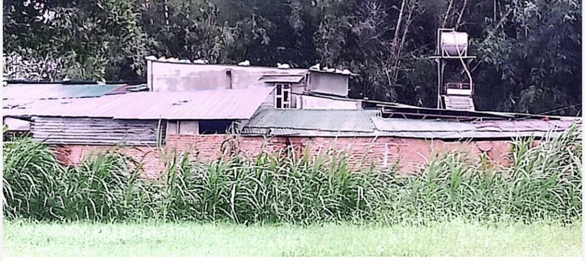 Hộ gia đình ông Trần Văn Đoan và bà Bùi Thị Liên ngang nhiên lấn chiếm đất nông nghiệp, xây dựng, chăn nuôi gia súc, gia cầm gây ô nhiễm môi trường, ảnh hưởng đến đời sống của người dân