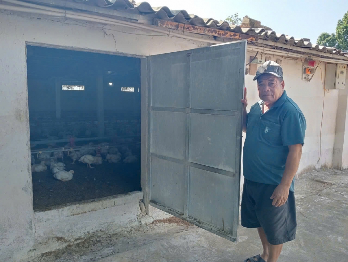 Ông Nguyễn Gia Sự giới thiệu về mô hình chăn nuôi gà công nghệ cao