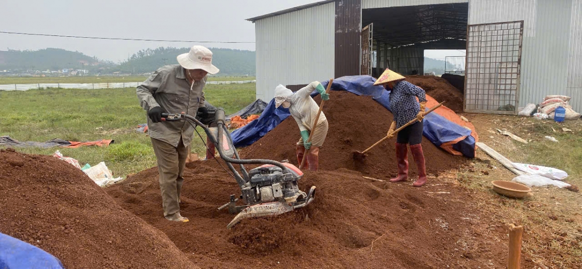 Dấu ấn Giám đốc Hồ Sỹ Quảng trong đổi mới HTX Thọ Thành
