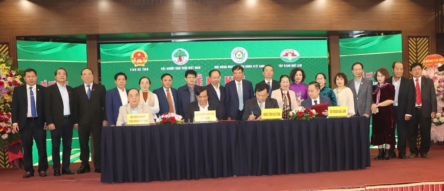 Điểm sáng từ mô hình kinh tế nông nghiệp hữu cơ, tuần hoàn, chuỗi liên kết giá trị Quế Lâm trên địa bàn Hà Tĩnh.