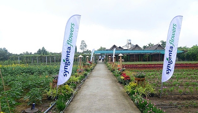 Miền Tây Lodge trưng bày hơn 100 giống hoa chất lượng cao phục vụ khách tham quan tại Festival .