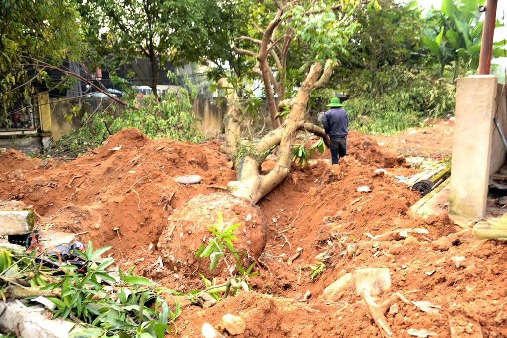 Tỉnh Lào Cai: Bàn giao hơn 6ha mặt bằng phục vụ thi công Dự án đầu tư xây dựng tuyến đường sắt Lào Cai - Hà Nội - Hải Phòng