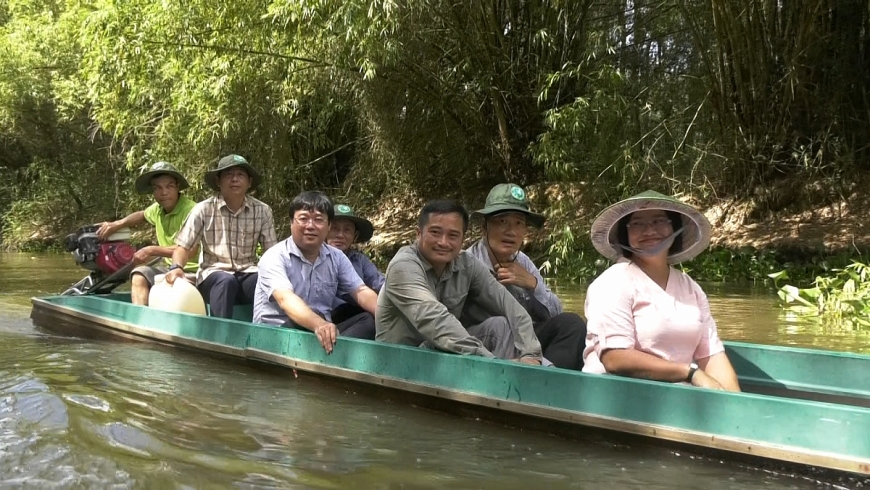 Để sếu đầu đỏ trở lại “mái nhà xưa”