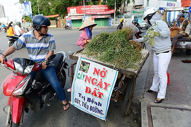 Thận trọng khi mua thảo dược bán qua mạng, ở lề đường