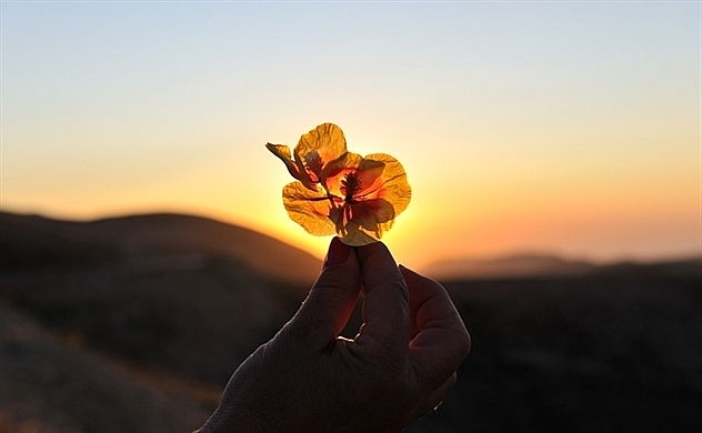 Đôi điều về người khôn