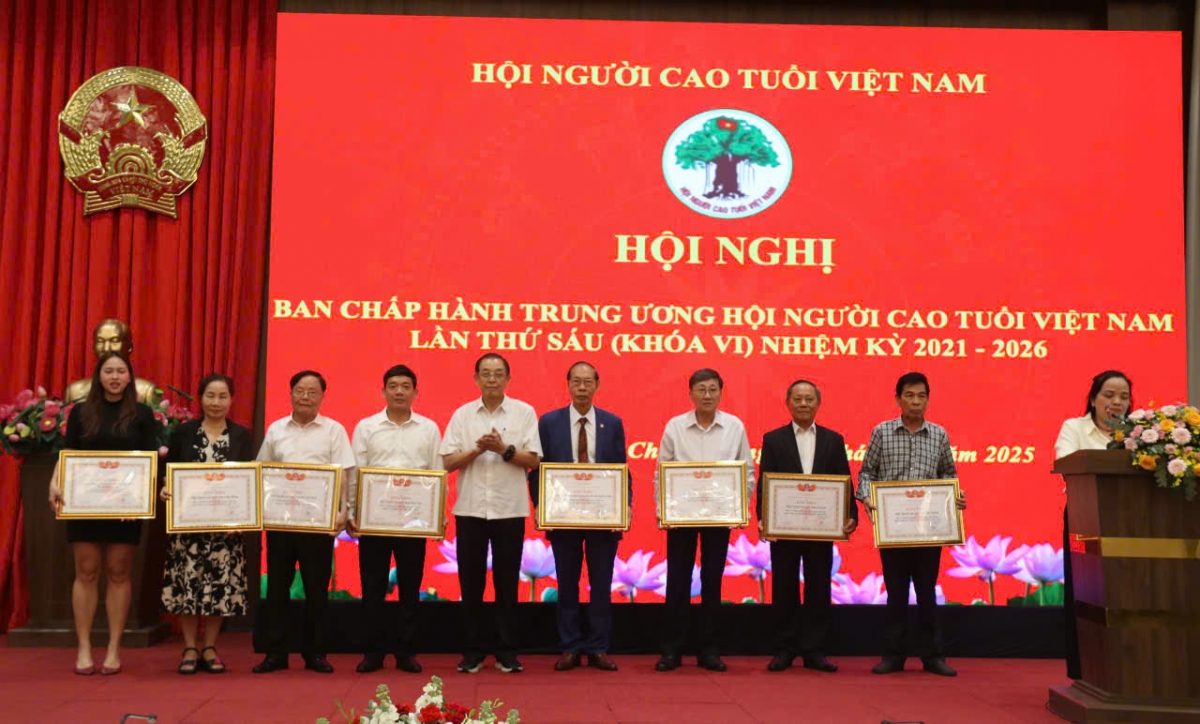 3.	Lãnh đạo Trung ương Hội trao Bàng khen cho các đơn vị xuất sắc