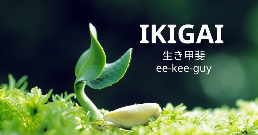 Nhật Bản Ikigai - Sống có lí do mỗi sáng, thọ thêm nhiều thập kỉ