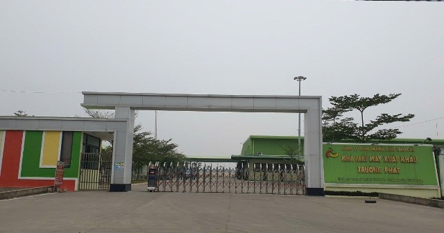 Công ty Trường Phát Toàn Cầu 