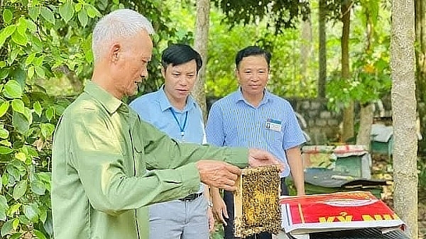 Người cao tuổi phải luôn thấm sâu và thực hiện tốt những lời Bác dạy