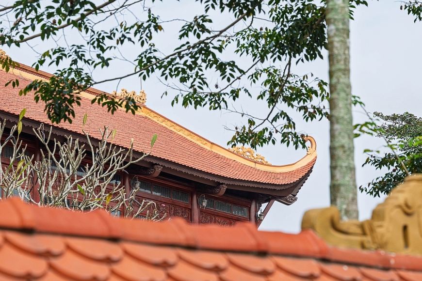 Từ “đất quý” Giếng Đáy đến mái nhà Việt: Hành trình nửa thế kỷ gìn giữ tinh hoa gạch ngói Viglacera Hạ Long