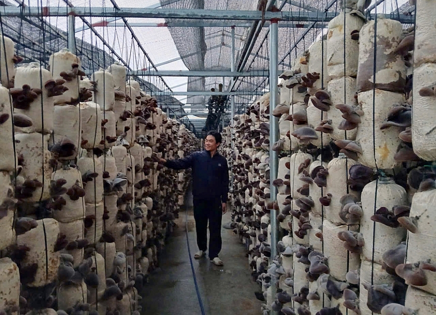 Diện mạo làng quê đổi thay từ Chương trình xây dựng nông thôn mới