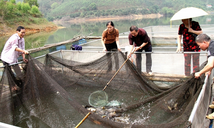 Già hóa dân số và kinh tế bạc: Khoảng trống thể chế trước một động lực tăng trưởng mới