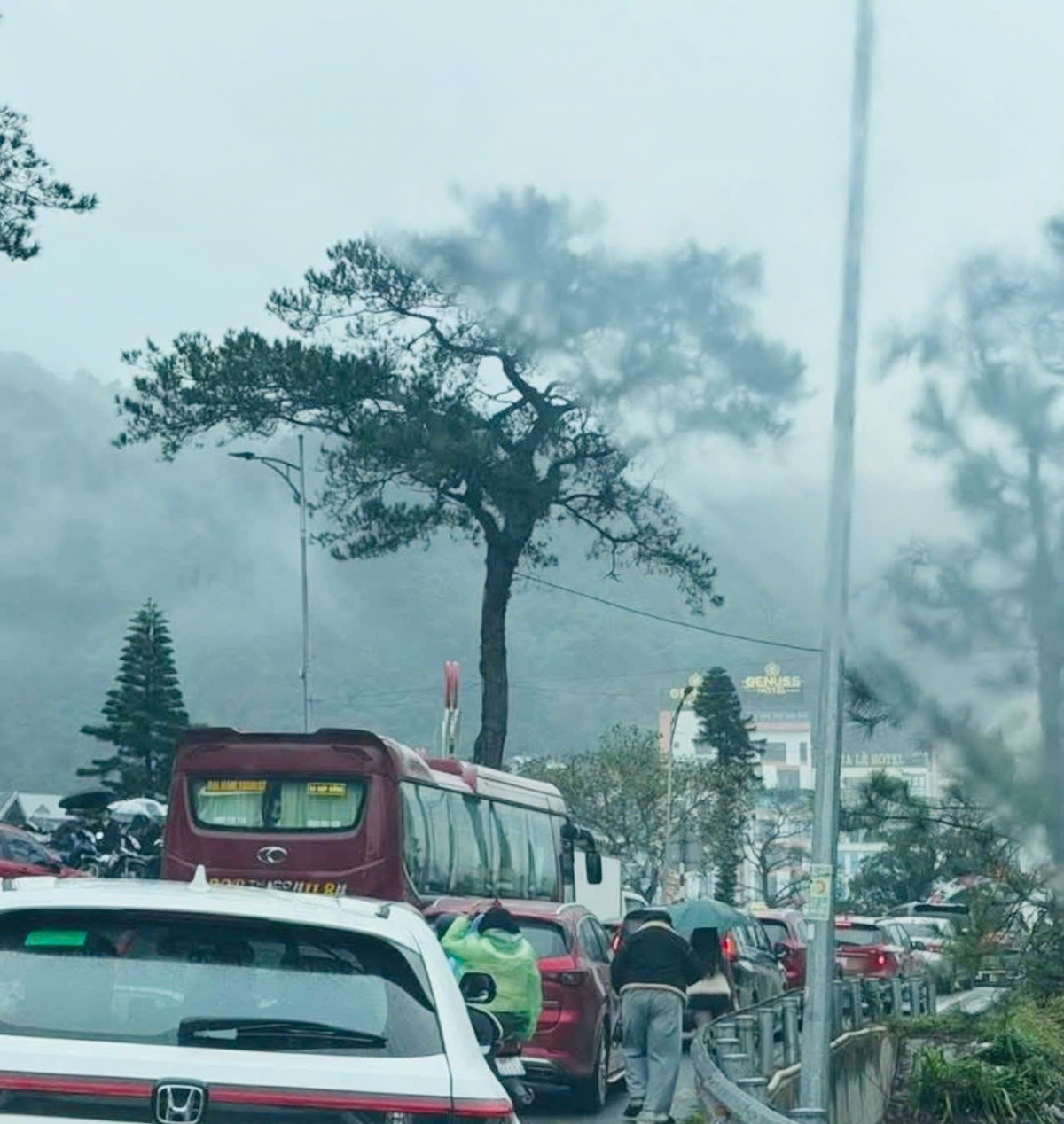 Tam Đảo – điểm đến hấp dẫn trong kỳ nghỉ Tết Dương lịch 2026