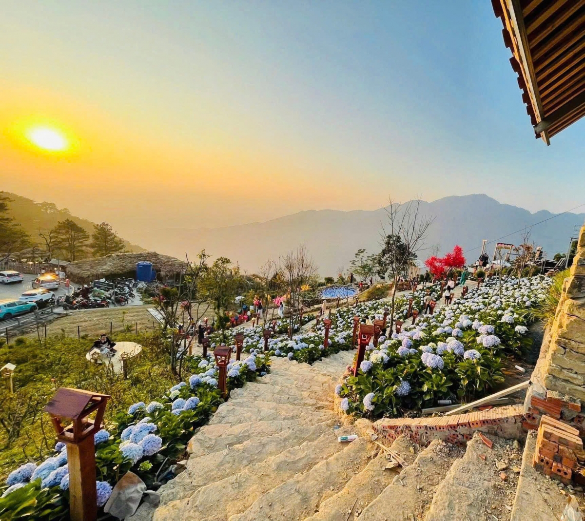 Tam Đảo – điểm đến hấp dẫn trong kỳ nghỉ Tết Dương lịch 2026