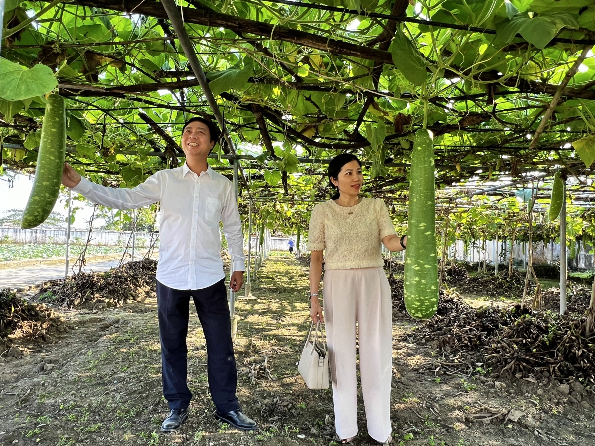 Ông Vũ Đình Hoàn - Giám đốc Trung tâm bảo trợ xã hội số 1 Thanh Hóa (bên trái ảnh) giới thiệu vườn rau sạch với phóng viên Tạp chí Người cao tuổi