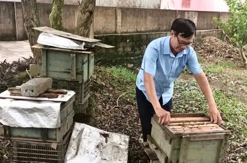 Đảng viên Nguyễn Đức Hà đã chọn nghề nuôi ong để phát triển kinh tế gia đình