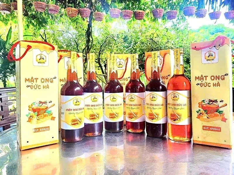 Đảng viên Nguyễn Đức Hà – Tấm gương làm kinh tế giỏi ở xã Lương Sơn