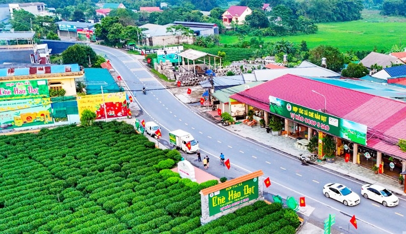 Những việc làm thiết thực của người cao tuổi chào mừng Đại hội XIV của Đảng