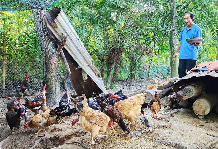 Ông Trần Văn Hướng có thu nhập gần 100 triệu đồng/năm. 