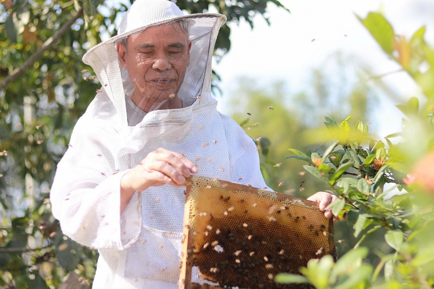 Trong bóng tối vẫn vượt khó làm kinh tế giỏi