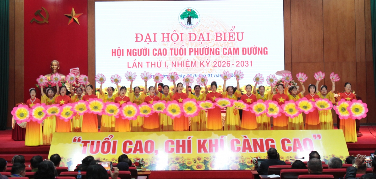 Tăng cường công tác người cao tuổi thích ứng với già hóa dân số