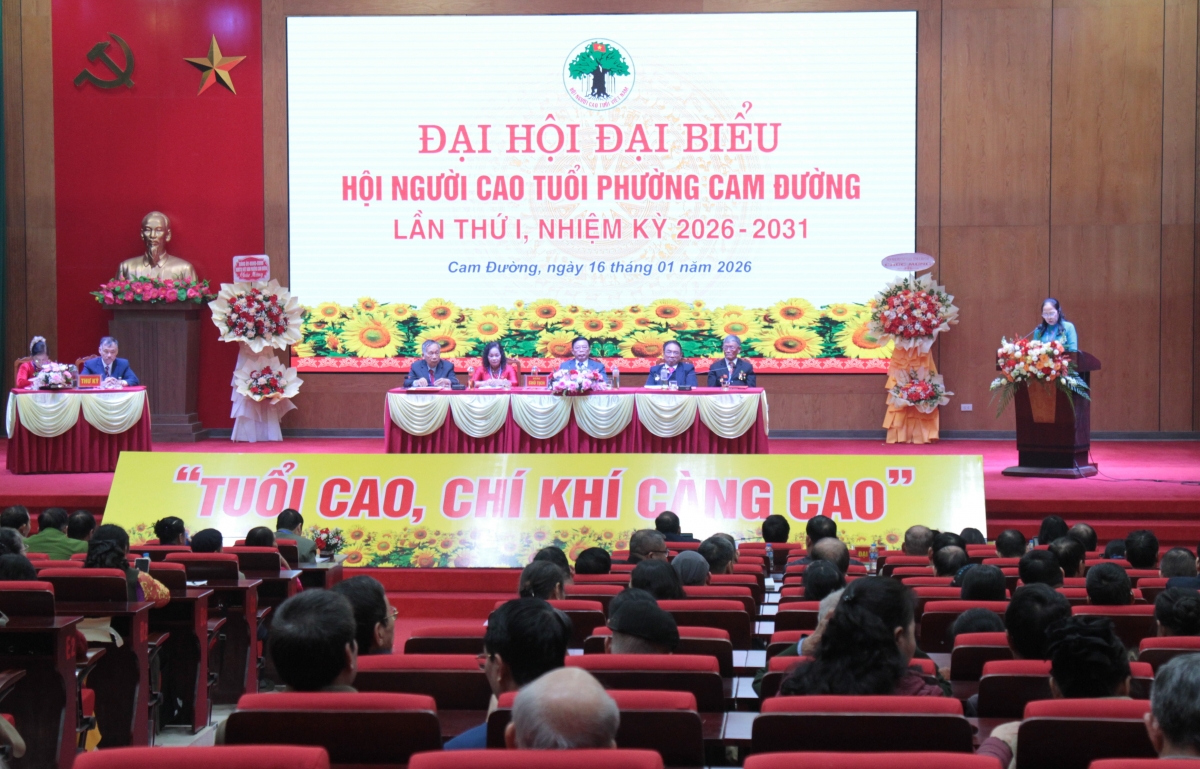 Tăng cường công tác người cao tuổi thích ứng với già hóa dân số