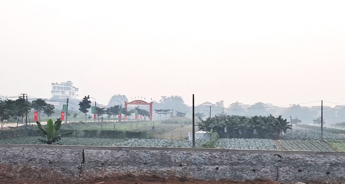 Theo ông nguyễn Huy Nhung, Minh Châu đang hướng đến phát triển nền nông nghiệp công nghệ cao