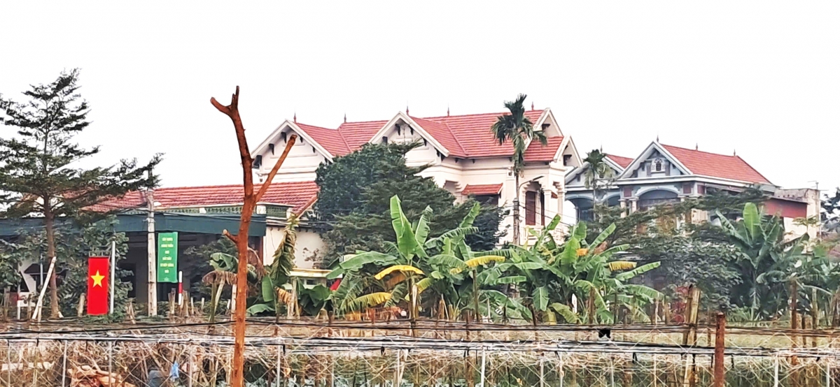 Quê hương Minh Châu ngày càng khởi sắc