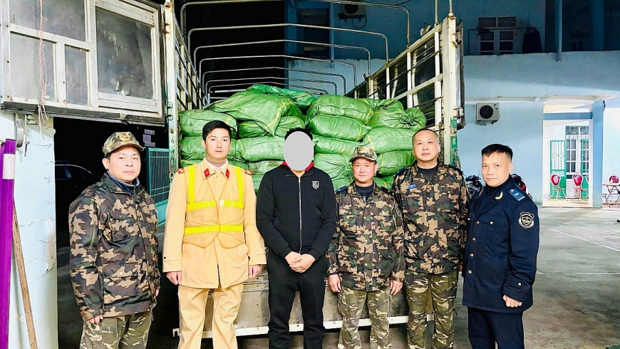 Bắt giữ 3,335 tấn lá thuốc lá sấy khô của Chi cục Hải quan Khu vực XVI.