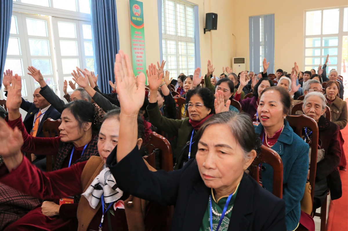 Đại biểu biểu quyết bầu Ban Chấp hành Hội 