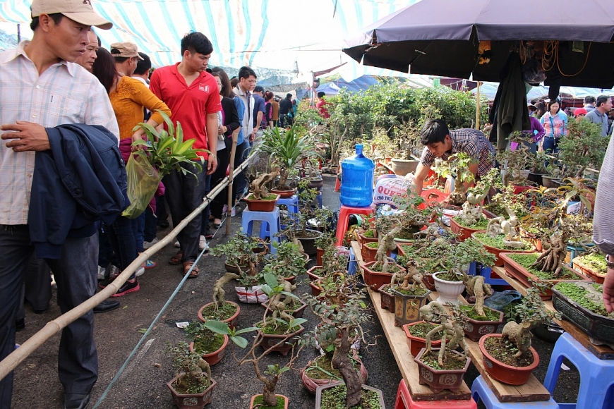 Chợ Viềng Xuân Vụ Bản: Phiên chợ của ký ức, niềm tin và mạch nguồn văn hóa dân tộc