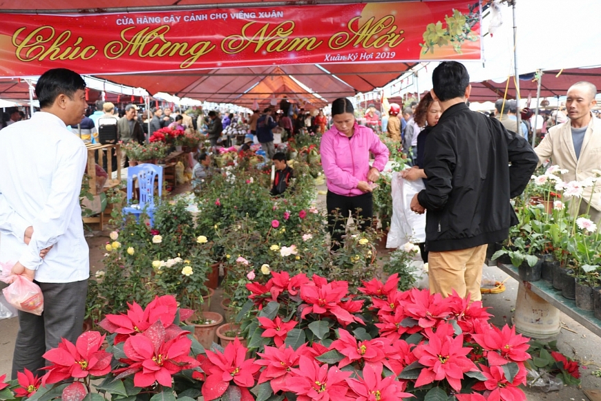 Chợ Viềng Xuân Vụ Bản: Phiên chợ của ký ức, niềm tin và mạch nguồn văn hóa dân tộc