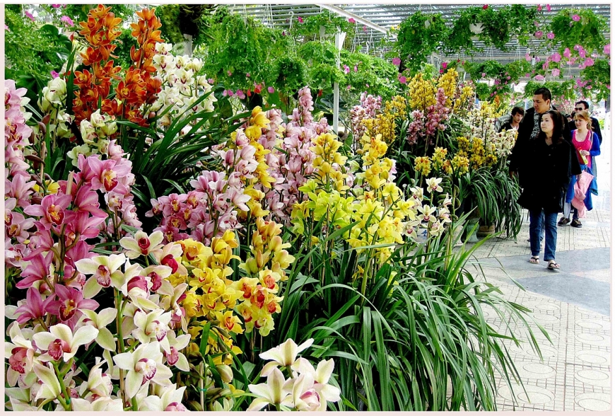 Đà Lạt - Thiên đường du lịch