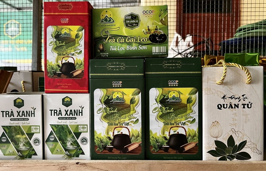 Người cao tuổi đưa thương hiệu “Chè sạch Bình Sơn” vươn tầm quốc gia
