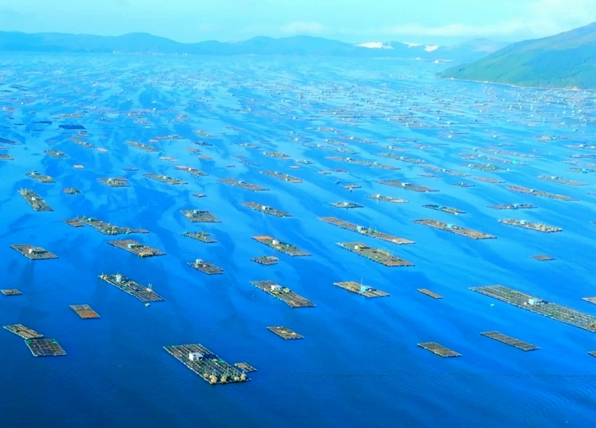 Làng biển hồi sinh sau bão dữ