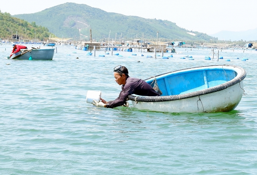 Làng biển hồi sinh sau bão dữ